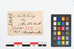Etikett zu Meeresschneckengehäuse (NHMW-PRAE-025447)